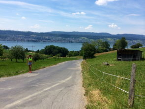 乐鱼体育app官网-“缆绳滑水：东桃花岛赛场呈现全新水上运动魅力”